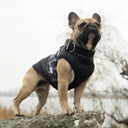 Waterproof Dog Coat for Small Breeds