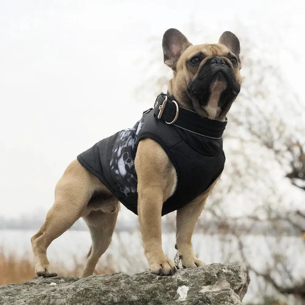 Waterproof Dog Jacket Small Breeds Winter Coat Essential