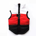 Waterproof Dog Coat for Small Breeds