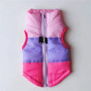 Waterproof Dog Coat for Small Breeds