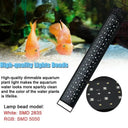 Vibrant RGB and White Lighting for Fish Tanks