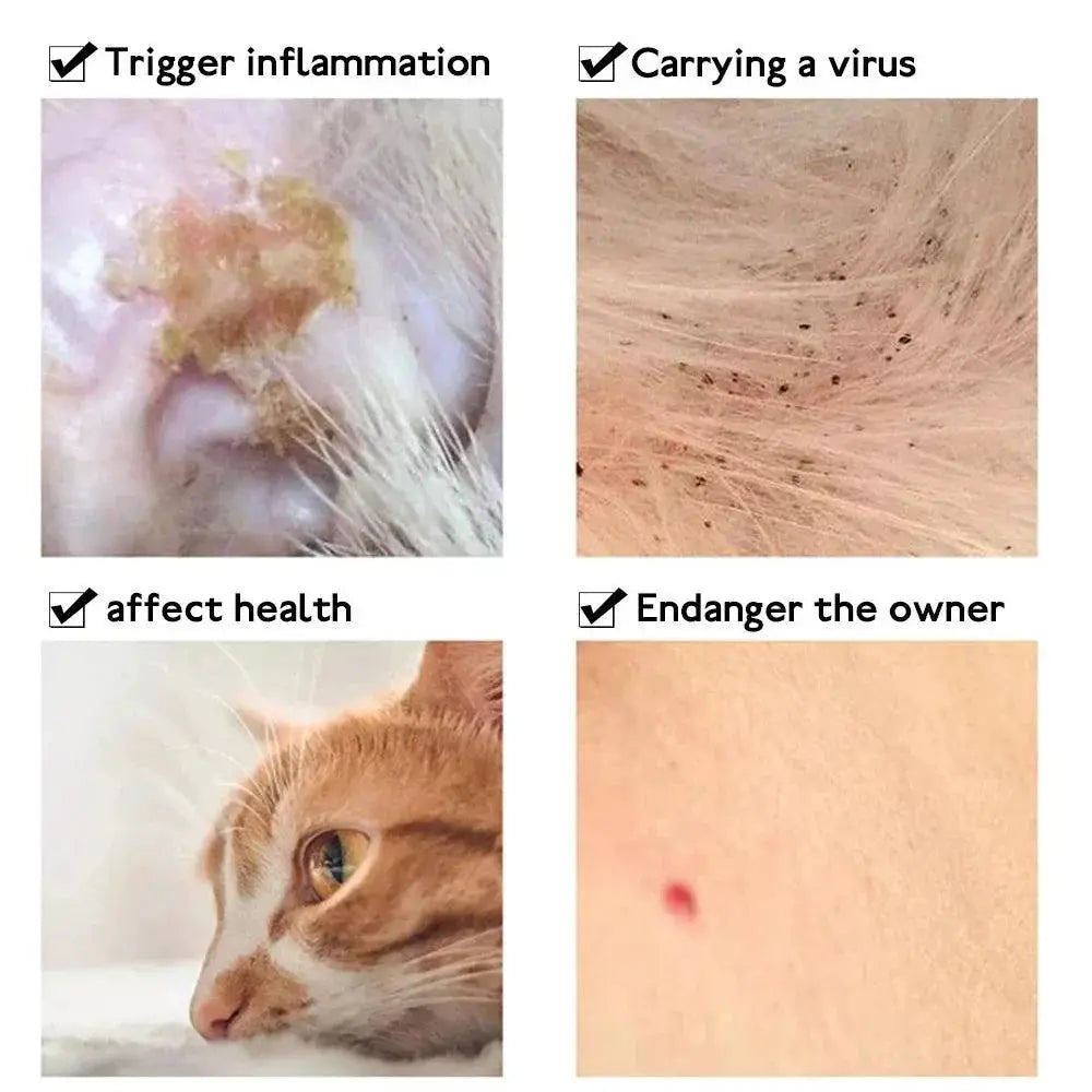 Flea Tick Collar Eight Month Protection For Small Pets