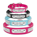 Personalized Sequin Dog Collar For Small To Medium Pets