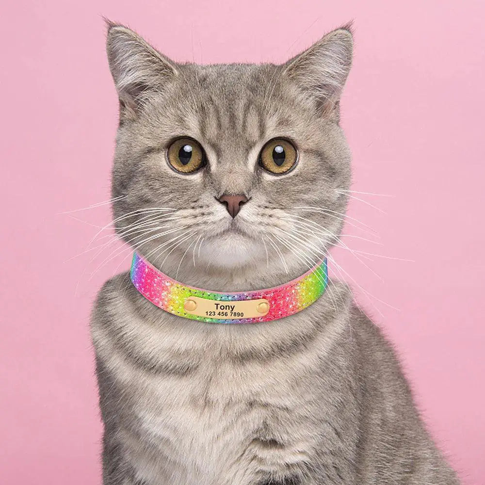 Personalized Sequin Dog Collar For Small To Medium Pets