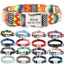 Personalized Nylon Dog Collar for Large Dogs