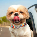 Personalized Nylon Dog Collar for Large Dogs