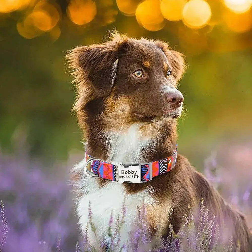Large Dog Collar Personalized Nylon Pet Collar For Dogs