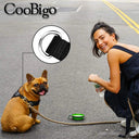 Zinc Alloy D Ring Buckle Set for DIY Crafting Projects