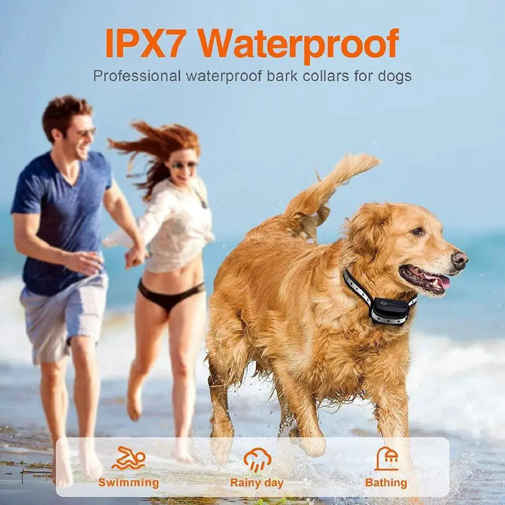 PaiPaitek Remote Dog Training Collar for Bark Control