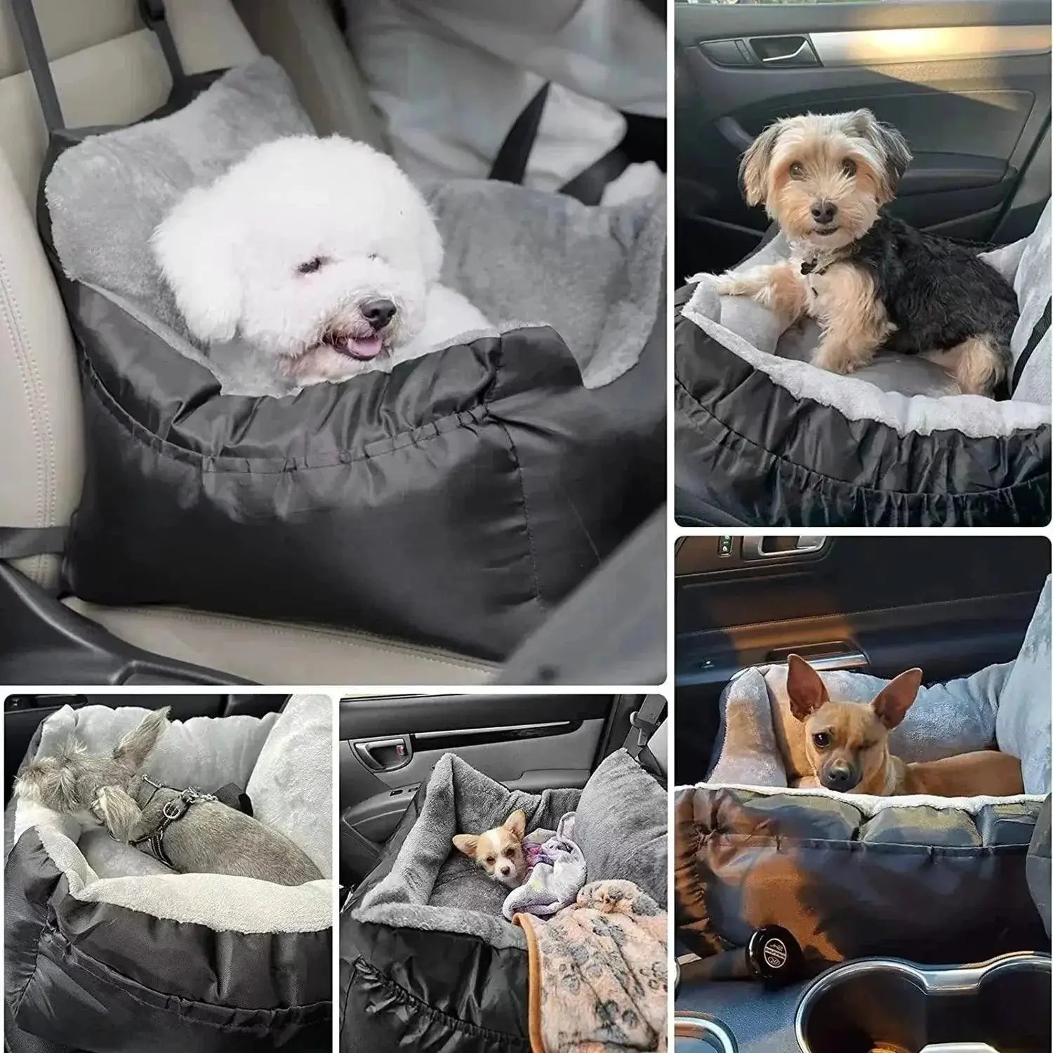 Dog Booster Car Seat Sturdy Washable Detachable Carrier