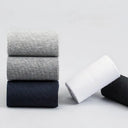 Business Socks for Work All-Day Comfort