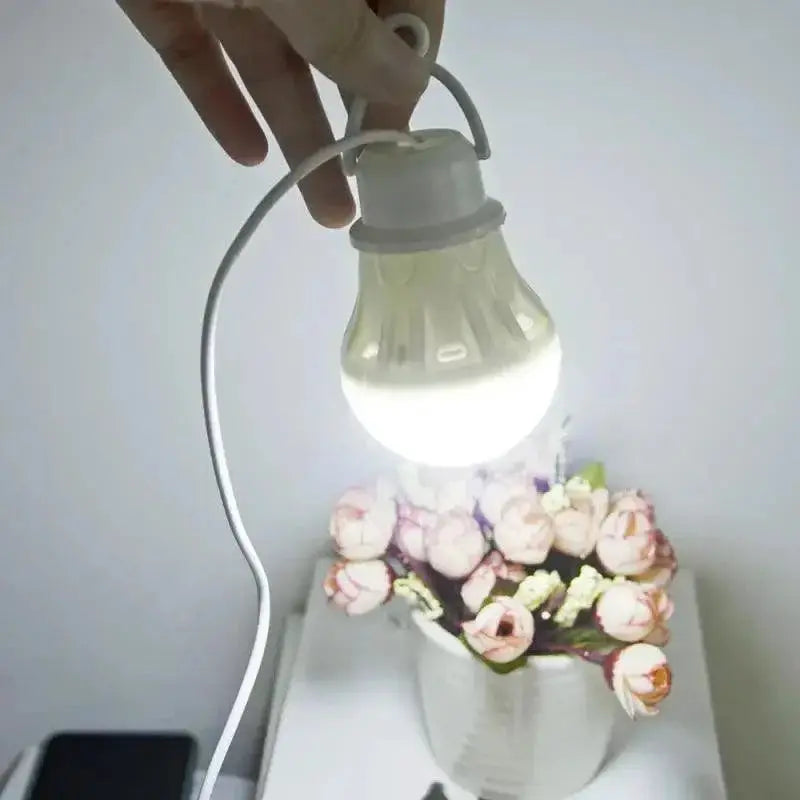 Portable LED Light Bulb Versatile Mini Lamp For Camping