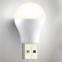 Portable LED Light Bulb Versatile Mini Lamp For Camping