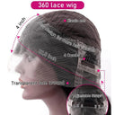 Premium Brazilian Human Hair Straight Wig With HD Lace