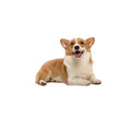 Cozy Winter Pet Bed for Cats and Dogs