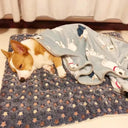 Cozy Winter Pet Bed for Cats and Dogs