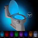 Motion Sensing LED Toilet Light With Customizable Color Glow