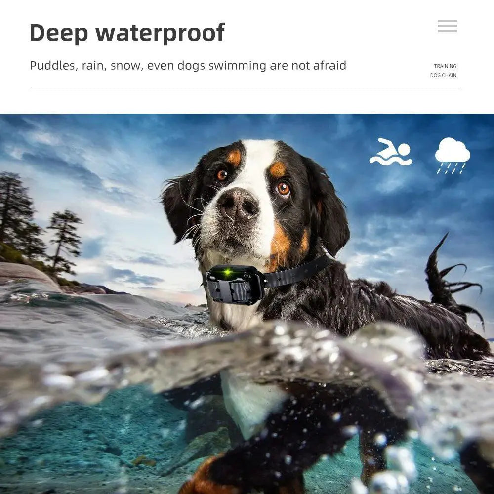 Ultimate Waterproof Dog Training Collar With Advanced Remote