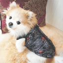 Winter Windproof Pet Jacket For Small Dogs And Cats