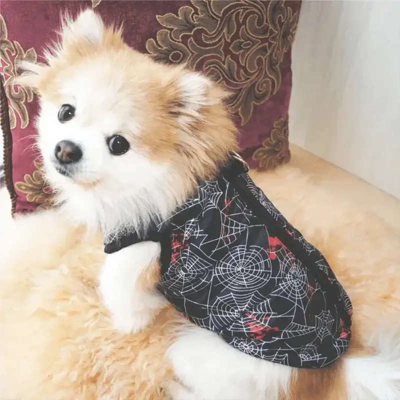 Winter Windproof Pet Jacket For Small Dogs And Cats