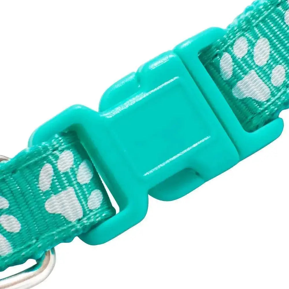 Teal nylon pet collar with paw prints and plastic safety buckle from OurLum.com