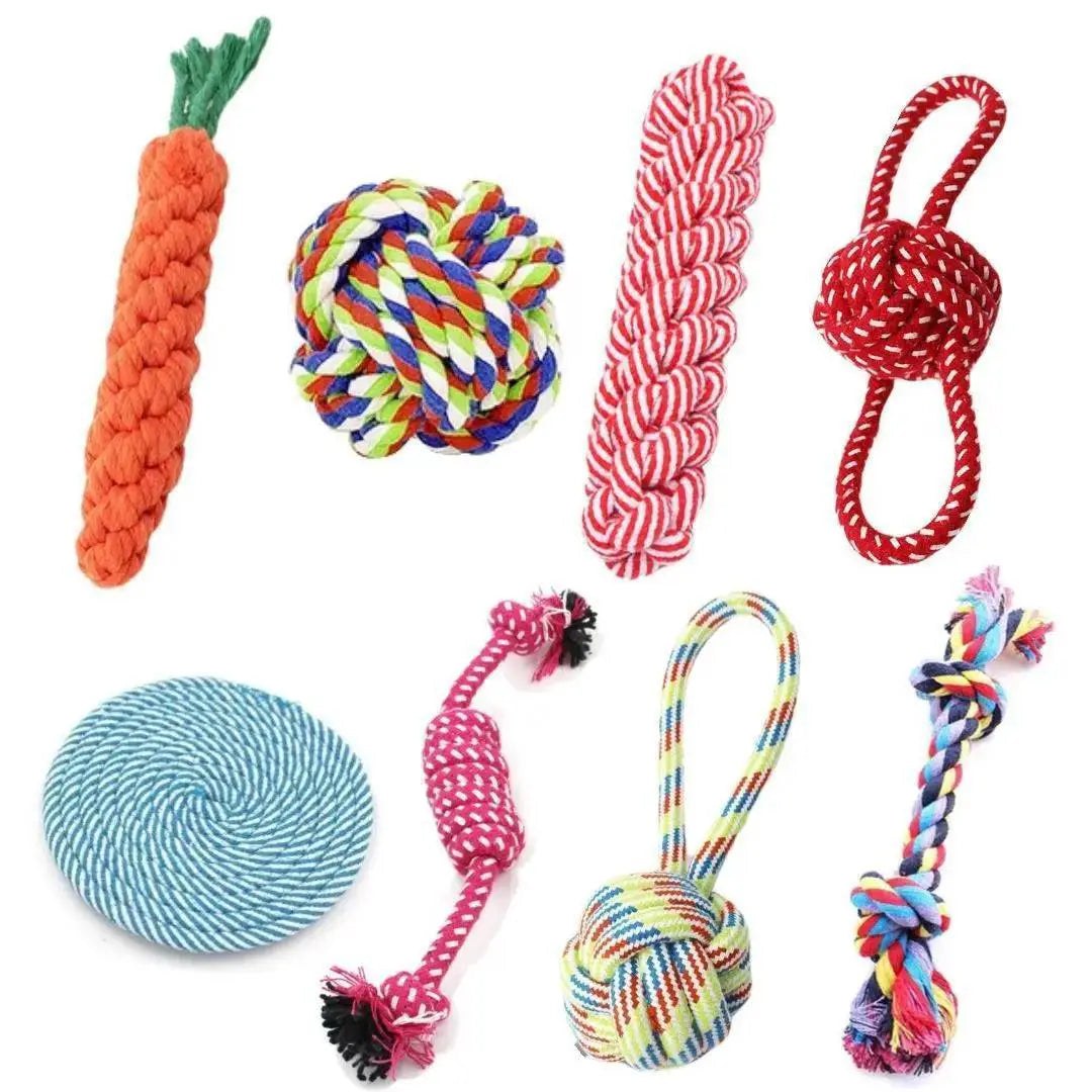 Dog Chew Toy Set For Healthy Playtime And Dental Care