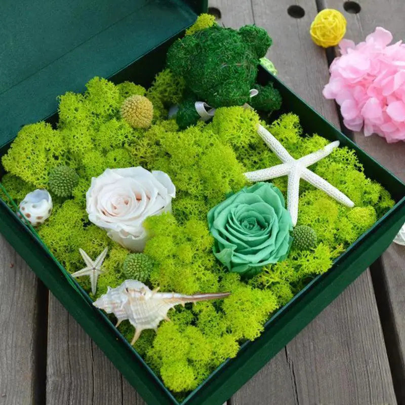 Eternal Green Moss Grass Artificial Plant Decor For Home