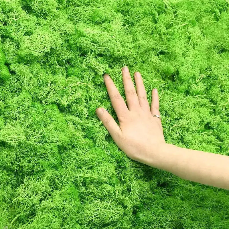 Eternal Green Moss Grass Artificial Plant Decor For Home