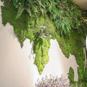 Eternal Green Moss Grass Artificial Plant Decor For Home
