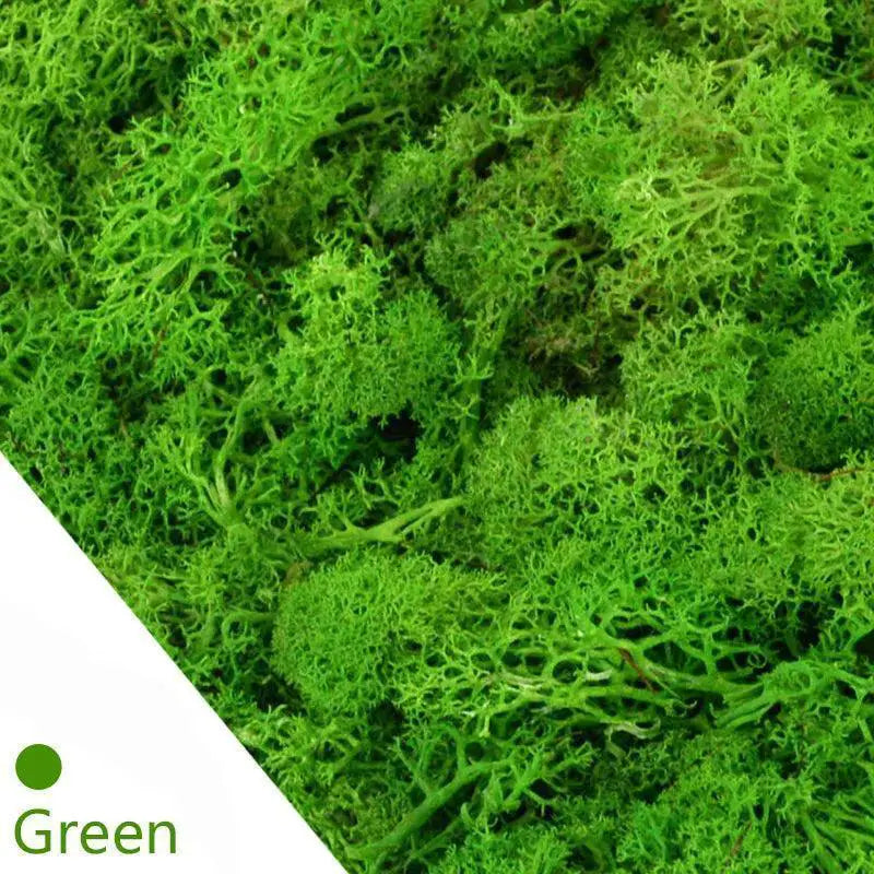 Eternal Green Moss Grass Artificial Plant Decor For Home