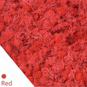 Eternal Green Moss Grass Artificial Plant Decor For Home