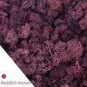 Eternal Green Moss Grass Artificial Plant Decor For Home