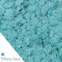 Eternal Green Moss Grass Artificial Plant Decor For Home