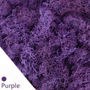 Eternal Green Moss Grass Artificial Plant Decor For Home