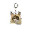Cute Banana Cat Keychain for Memes Fans