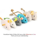 Active Exercise Cat Toy Set for Cats