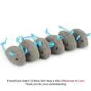Active Exercise Cat Toy Set for Cats