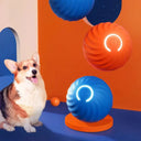 Mental Stimulation Led Dog Ball Toy
