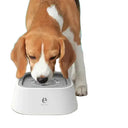 Pets Water Bowl for Mess-Free Hydration