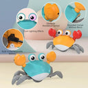Educational Robot Toy For Kids Crab