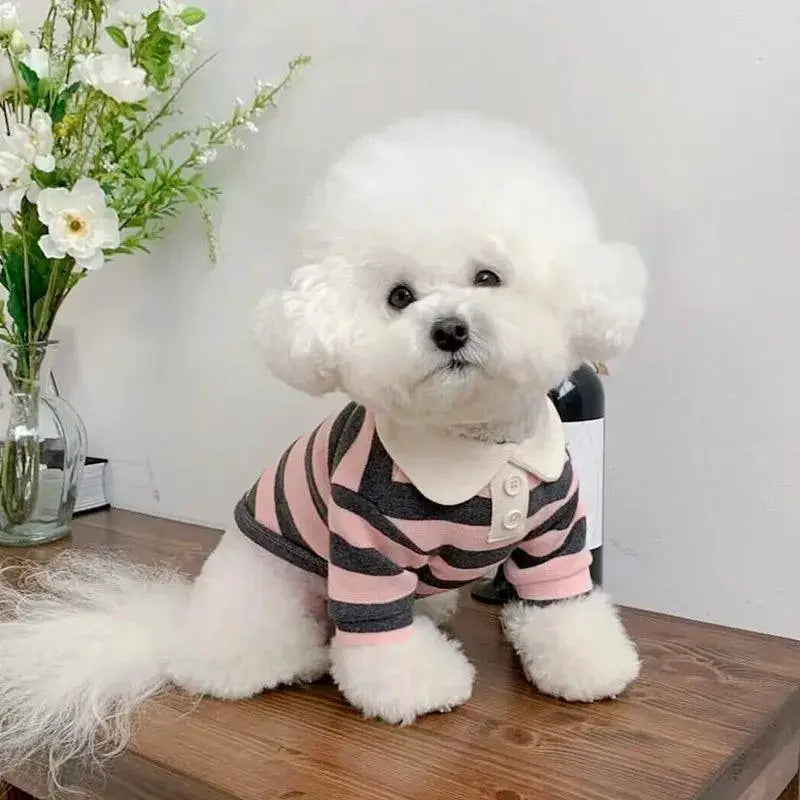 Dog Polo Shirt Soft Breathable Clothes for Small Medium Dogs