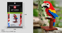 Educational Building Blocks for All Ages