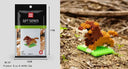 Educational Building Blocks for All Ages