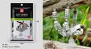 Educational Building Blocks for All Ages