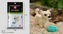 Educational Building Blocks for All Ages