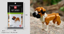 Educational Building Blocks for All Ages