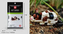 Educational Building Blocks for All Ages