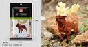 Educational Building Blocks for All Ages