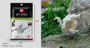 Educational Building Blocks for All Ages