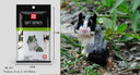 Educational Building Blocks for All Ages